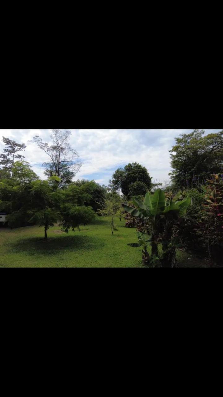Arenal Hostel La Catarata La Fortuna Eksteriør bilde